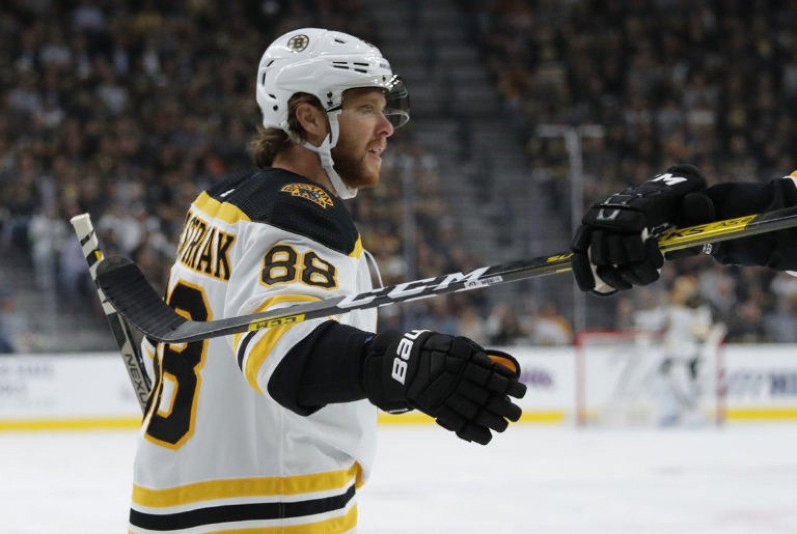 David Pastrň&aacute;k za Boston Bruins
