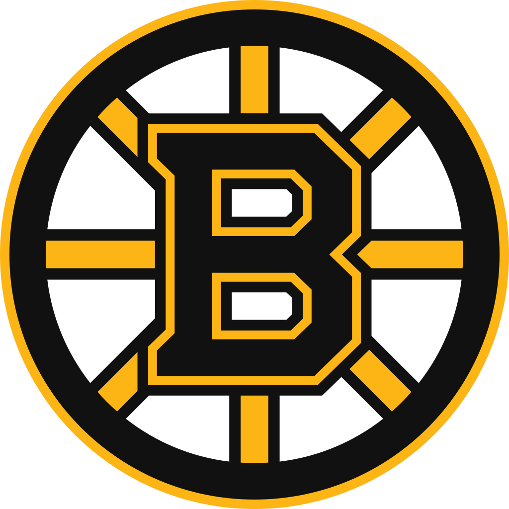 Vstupenky A Zájazdy Na Zápasy Bostonu Bruins